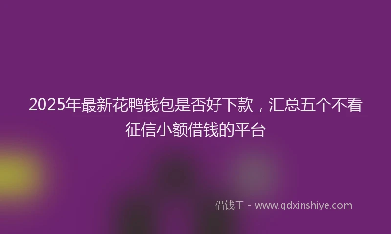 2025年最新花鸭钱包是否好下款，汇总五个不看征信小额借钱的平台