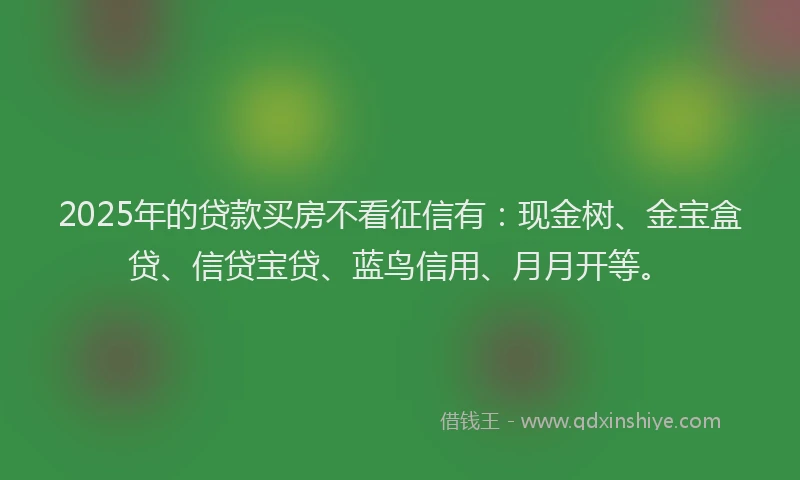 2025年的贷款买房不看征信有：现金树、金宝盒贷、信贷宝贷、蓝鸟信用、月月开等。