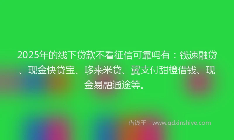 2025年的线下贷款不看征信可靠吗有：钱速融贷、现金快贷宝、哆来米贷、翼支付甜橙借钱、现金易融通途等。