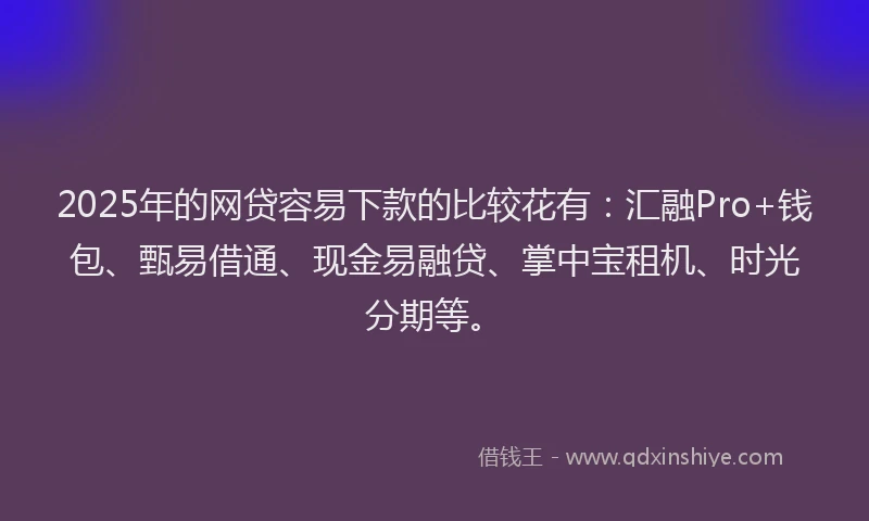2025年的网贷容易下款的比较花有:汇融Pro+钱包、甄易借通、现金易融贷、掌中宝租机、时光分期等。