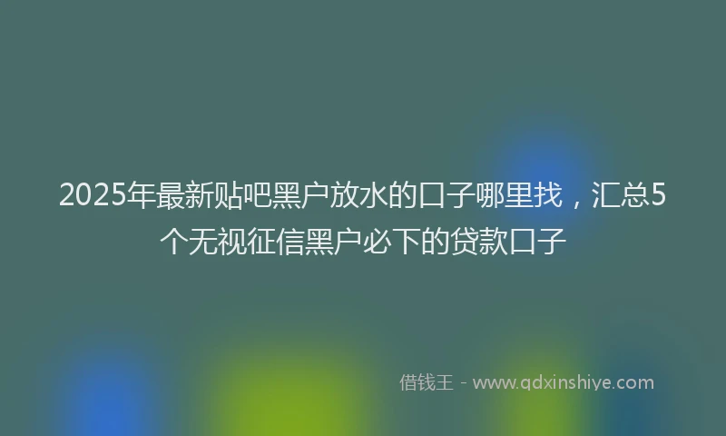 2025年最新贴吧黑户放水的口子哪里找，汇总5个无视征信黑户必下的贷款口子