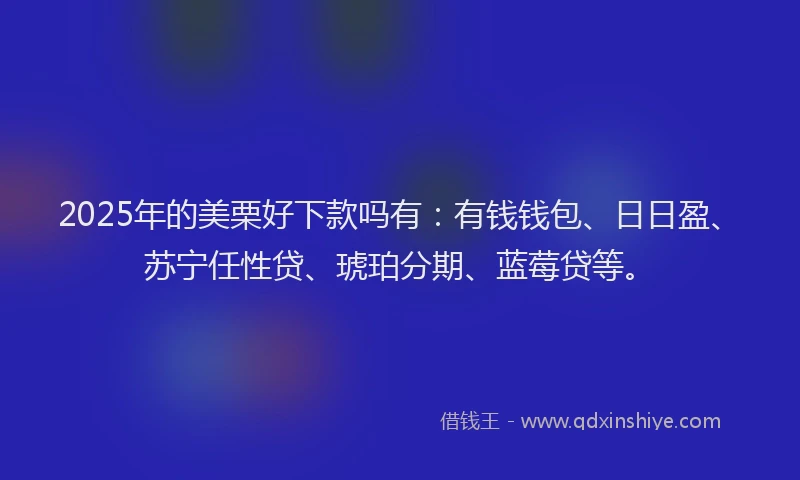 2025年的美栗好下款吗有：有钱钱包、日日盈、苏宁任性贷、琥珀分期、蓝莓贷等。
