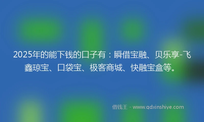 2025年的能下钱的口子有：瞬借宝融、贝乐享-飞鑫琼宝、口袋宝、极客商城、快融宝盒等。