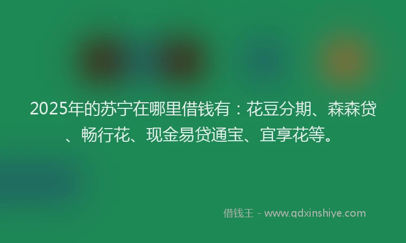 2025年的苏宁在哪里借钱有：花豆分期、森森贷、畅行花、现金易贷通宝、宜享花等。