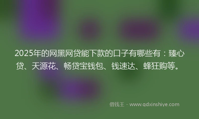 2025年的网黑网贷能下款的口子有哪些有：臻心贷、天源花、畅贷宝钱包、钱速达、蜂狂购等。