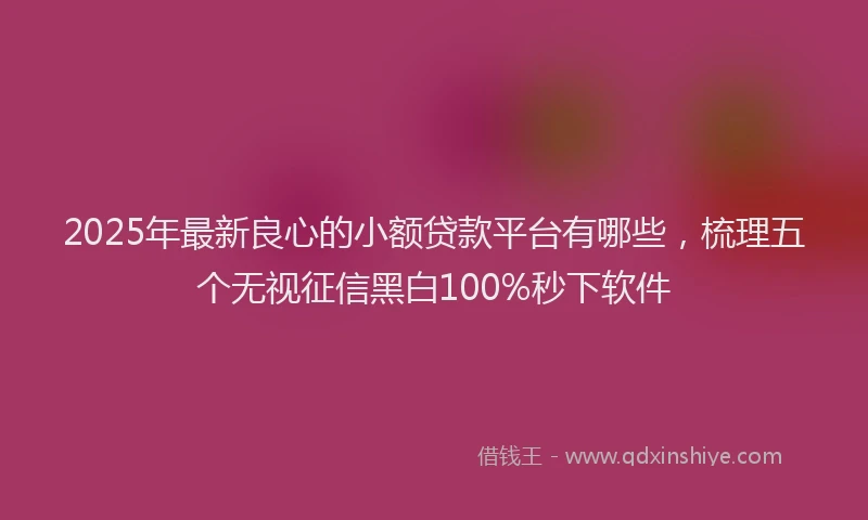 2025年最新良心的小额贷款平台有哪些,梳理五个无视征信黑白100%秒下软件