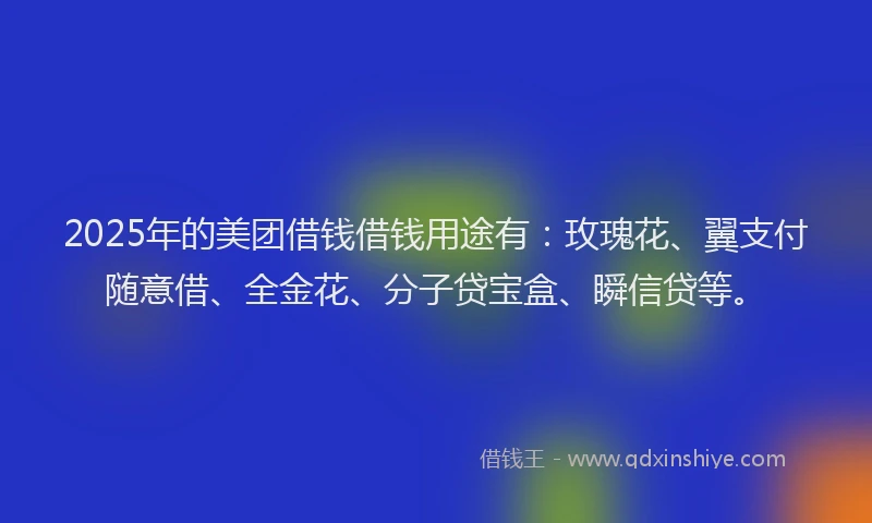 2025年的美团借钱借钱用途有：玫瑰花、翼支付随意借、全金花、分子贷宝盒、瞬信贷等。