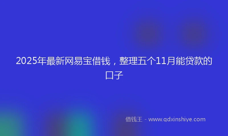2025年最新网易宝借钱，整理五个11月能贷款的口子