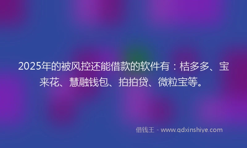 2025年的被风控还能借款的软件有：桔多多、宝来花、慧融钱包、拍拍贷、微粒宝等。