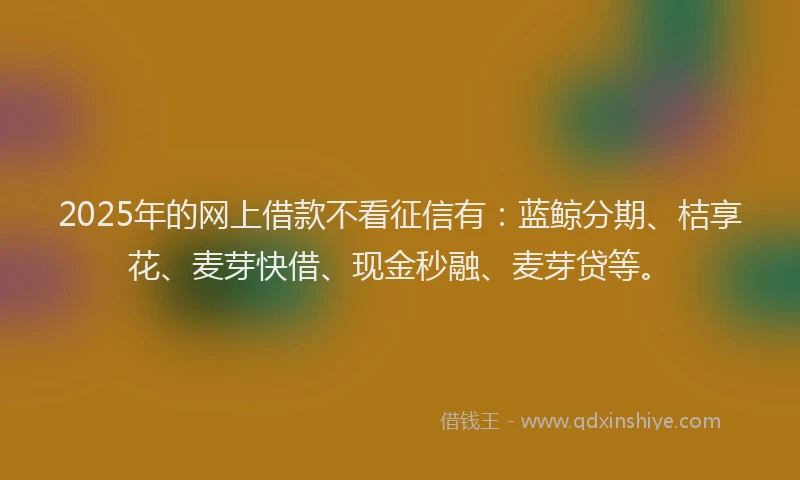 2025年的网上借款不看征信有：蓝鲸分期、桔享花、麦芽快借、现金秒融、麦芽贷等。