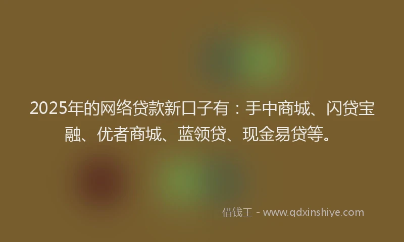 2025年的网络贷款新口子有：手中商城、闪贷宝融、优者商城、蓝领贷、现金易贷等。