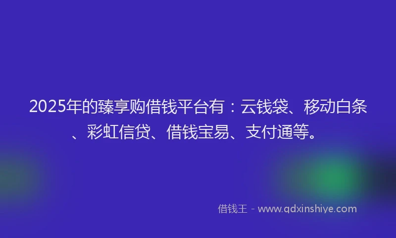 2025年的臻享购借钱平台有:云钱袋、移动白条、彩虹信贷、借钱宝易、支付通等。