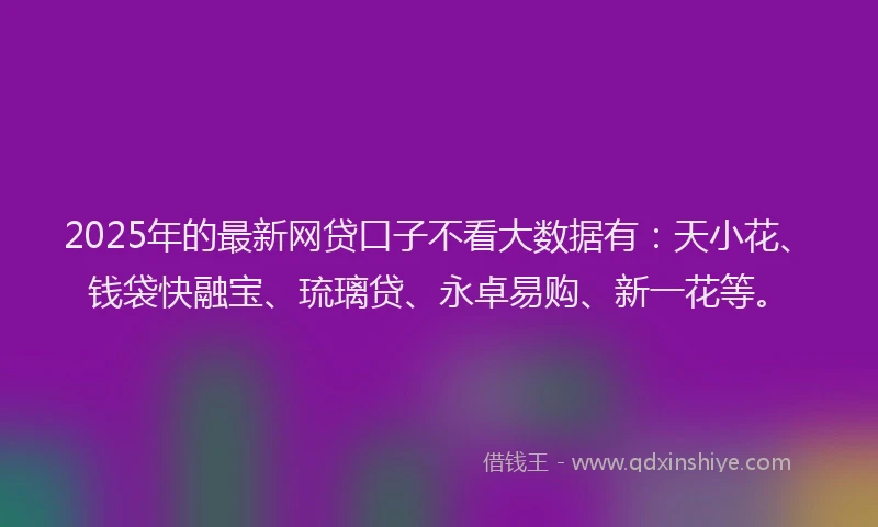 2025年的最新网贷口子不看大数据有：天小花、钱袋快融宝、琉璃贷、永卓易购、新一花等。