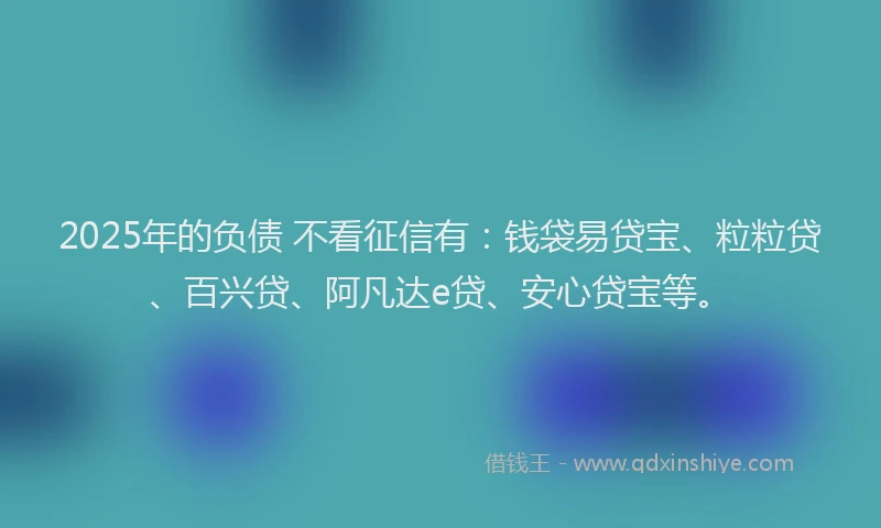 2025年的负债 不看征信有：钱袋易贷宝、粒粒贷、百兴贷、阿凡达e贷、安心贷宝等。