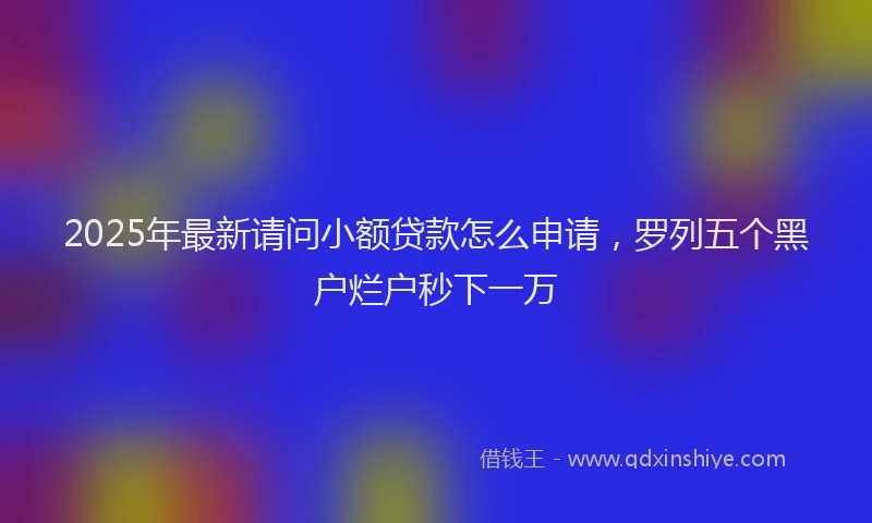 2025年最新请问小额贷款怎么申请，罗列五个黑户烂户秒下一万