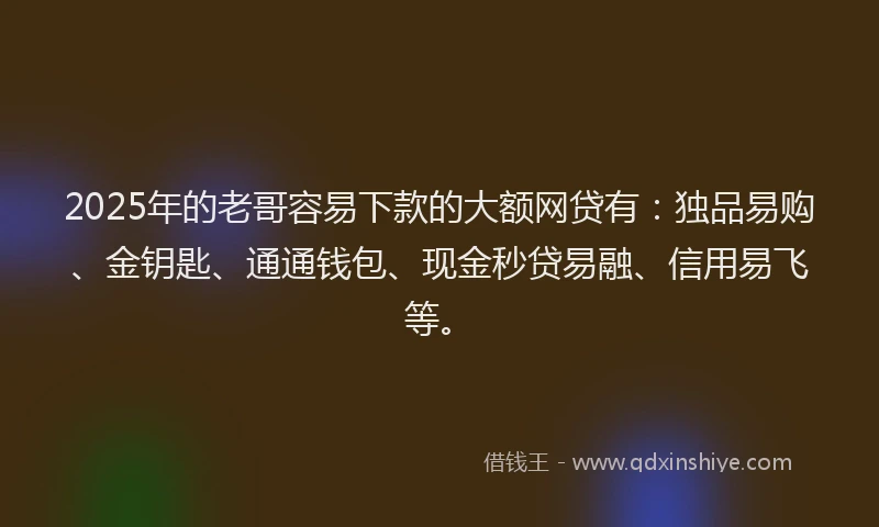 2025年的老哥容易下款的大额网贷有：独品易购、金钥匙、通通钱包、现金秒贷易融、信用易飞等。