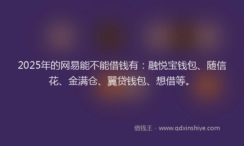 2025年的网易能不能借钱有：融悦宝钱包、随信花、金满仓、翼贷钱包、想借等。