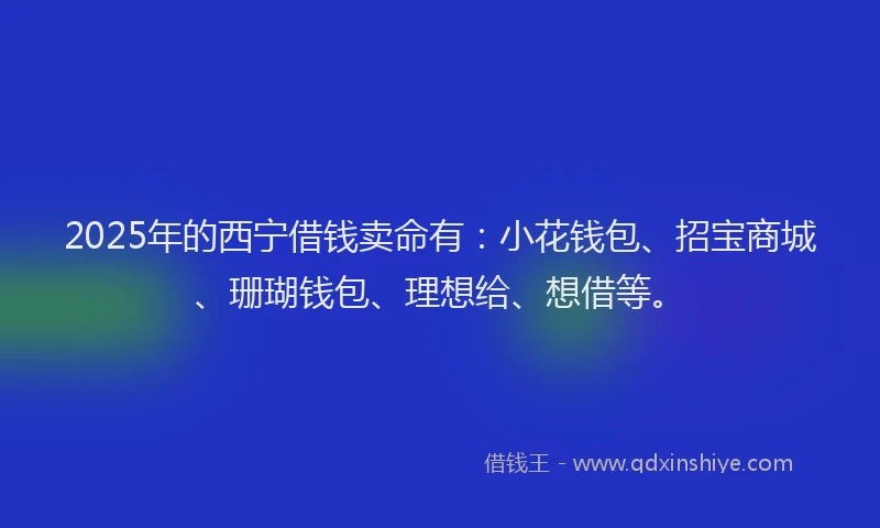 2025年的西宁借钱卖命有：小花钱包、招宝商城、珊瑚钱包、理想给、想借等。