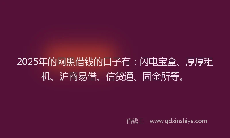 2025年的网黑借钱的口子有：闪电宝盒、厚厚租机、沪商易借、信贷通、固金所等。