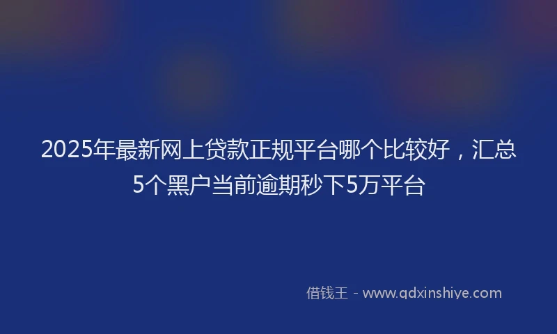 2025年最新网上贷款正规平台哪个比较好，汇总5个黑户当前逾期秒下5万平台