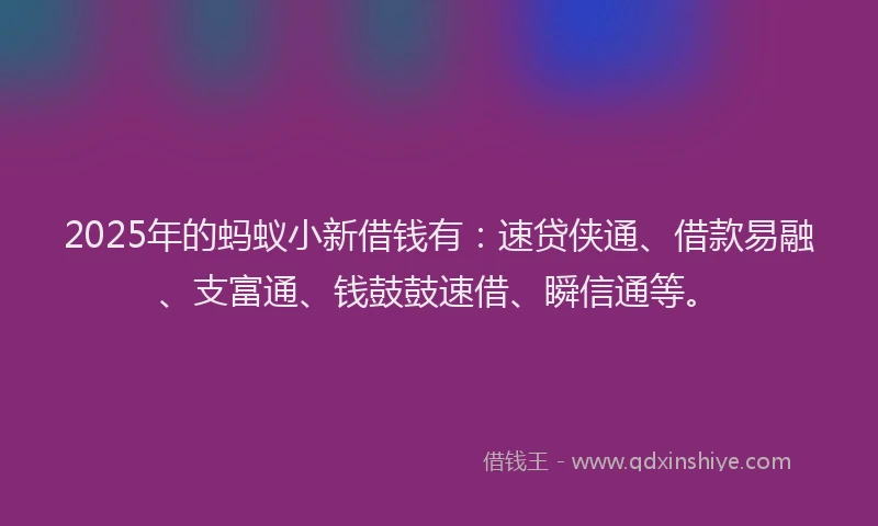 2025年的蚂蚁小新借钱有：速贷侠通、借款易融、支富通、钱鼓鼓速借、瞬信通等。
