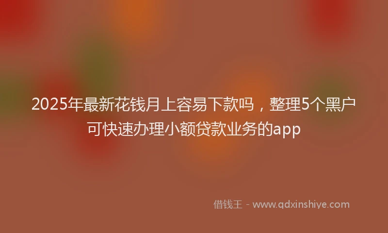2025年最新花钱月上容易下款吗，整理5个黑户可快速办理小额贷款业务的app