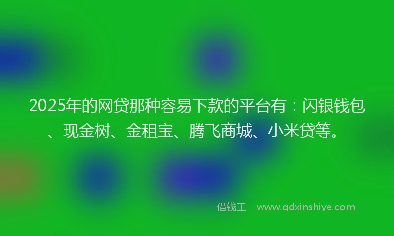 2025年的网贷那种容易下款的平台有：闪银钱包、现金树、金租宝、腾飞商城、小米贷等。