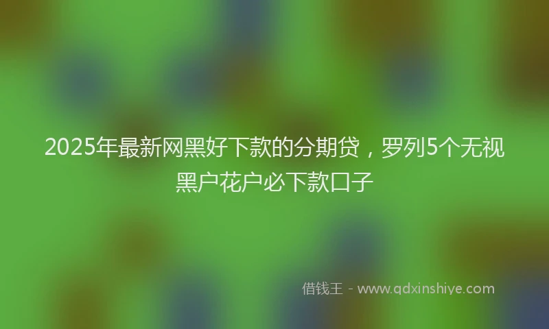2025年最新网黑好下款的分期贷，罗列5个无视黑户花户必下款口子