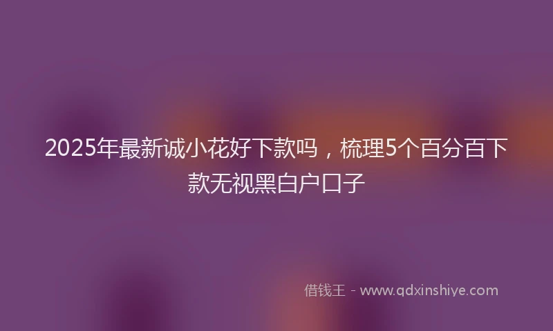 2025年最新诚小花好下款吗，梳理5个百分百下款无视黑白户口子