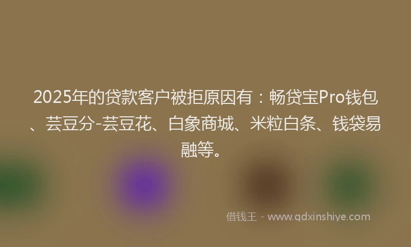 2025年的贷款客户被拒原因有：畅贷宝Pro钱包、芸豆分-芸豆花、白象商城、米粒白条、钱袋易融等。
