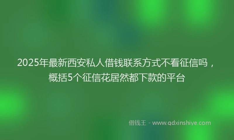 2025年最新西安私人借钱联系方式不看征信吗，概括5个征信花居然都下款的平台