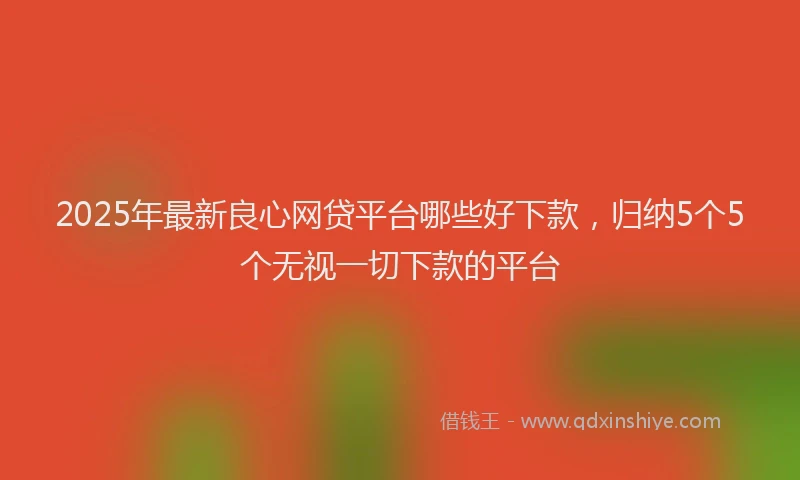 2025年最新良心网贷平台哪些好下款，归纳5个5个无视一切下款的平台