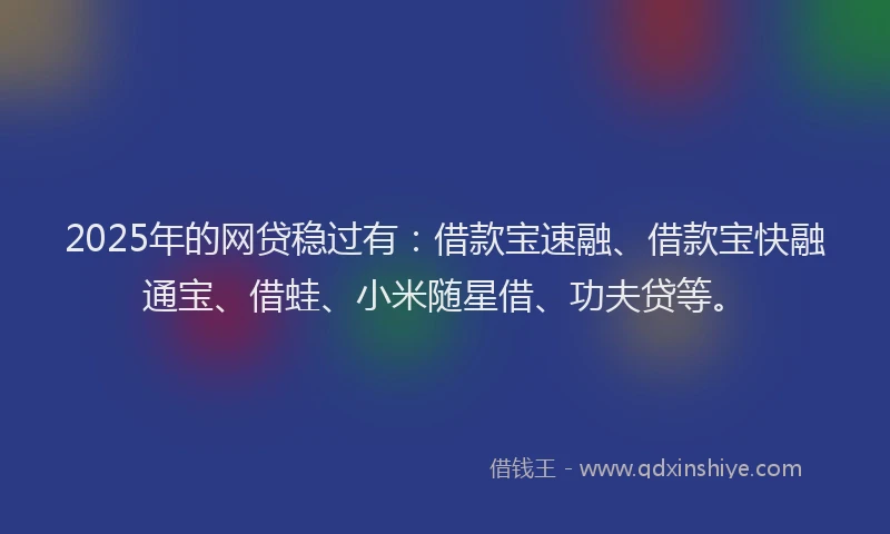 2025年的网贷稳过有：借款宝速融、借款宝快融通宝、借蛙、小米随星借、功夫贷等。