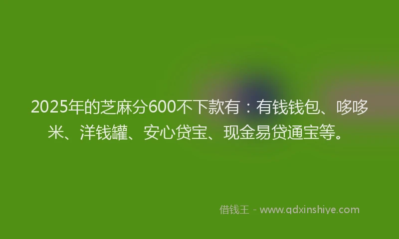 2025年的芝麻分600不下款有:有钱钱包、哆哆米、洋钱罐、安心贷宝、现金易贷通宝等。