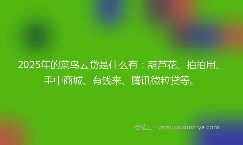 2025年的菜鸟云贷是什么有：葫芦花、拍拍用、手中商城、有钱来、腾讯微粒贷等。
