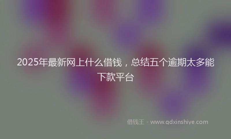 2025年最新网上什么借钱，总结五个逾期太多能下款平台