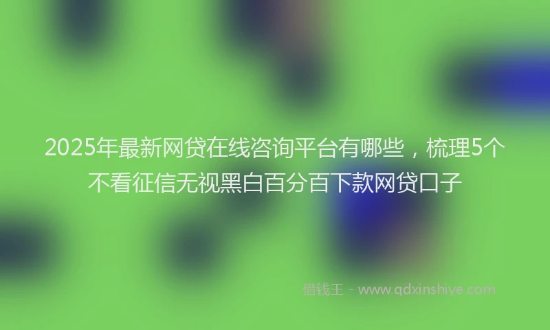 2025年最新网贷在线咨询平台有哪些，梳理5个不看征信无视黑白百分百下款网贷口子