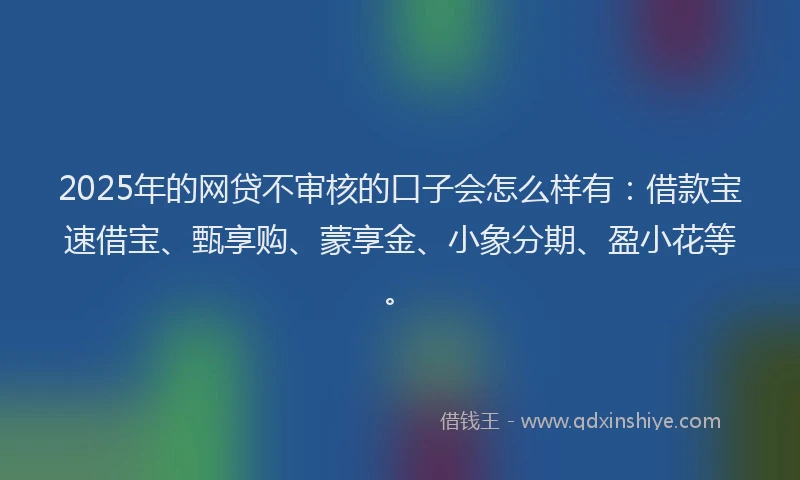 2025年的网贷不审核的口子会怎么样有：借款宝速借宝、甄享购、蒙享金、小象分期、盈小花等。