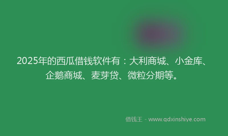 2025年的西瓜借钱软件有：大利商城、小金库、企鹅商城、麦芽贷、微粒分期等。