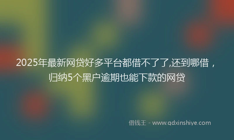 2025年最新网贷好多平台都借不了了,还到哪借,归纳5个黑户逾期也能下款的网贷