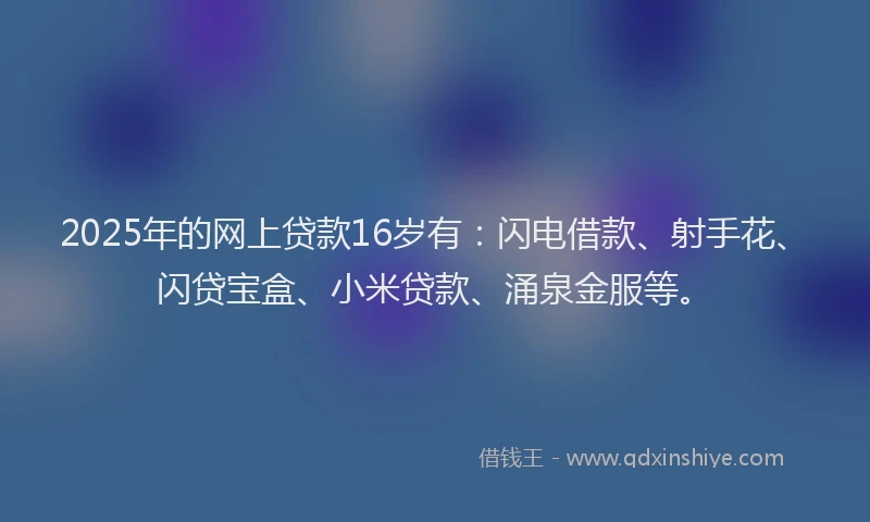 2025年的网上贷款16岁有：闪电借款、射手花、闪贷宝盒、小米贷款、涌泉金服等。