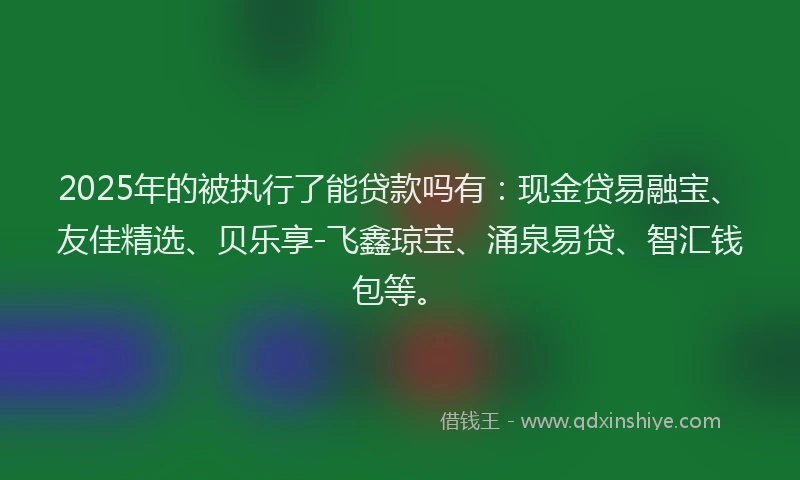 2025年的被执行了能贷款吗有：现金贷易融宝、友佳精选、贝乐享-飞鑫琼宝、涌泉易贷、智汇钱包等。