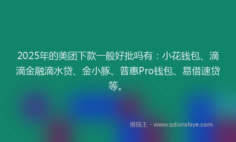 2025年的美团下款一般好批吗有：小花钱包、滴滴金融滴水贷、金小豚、普惠Pro钱包、易借速贷等。