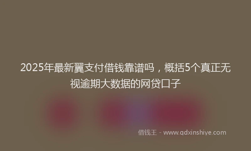 2025年最新翼支付借钱靠谱吗，概括5个真正无视逾期大数据的网贷口子