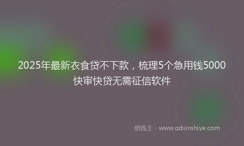 2025年最新衣食贷不下款，梳理5个急用钱5000快审快贷无需征信软件