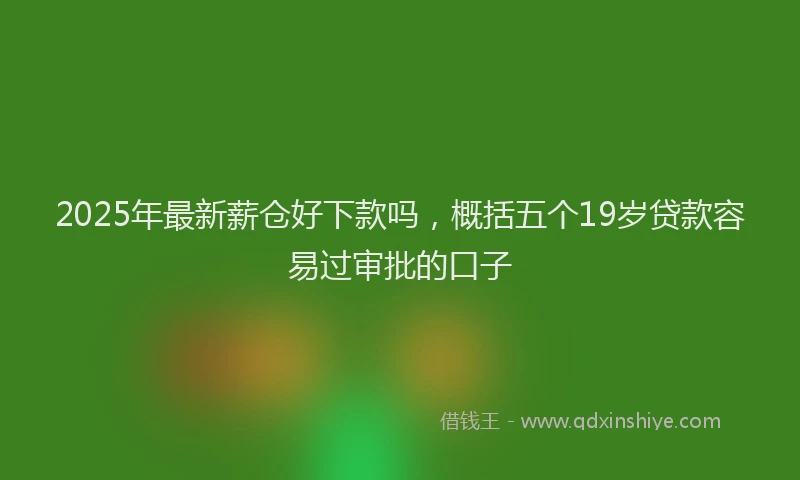 2025年最新薪仓好下款吗，概括五个19岁贷款容易过审批的口子
