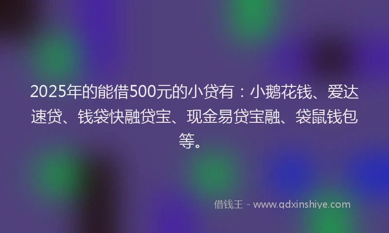 2025年的能借500元的小贷有：小鹅花钱、爱达速贷、钱袋快融贷宝、现金易贷宝融、袋鼠钱包等。
