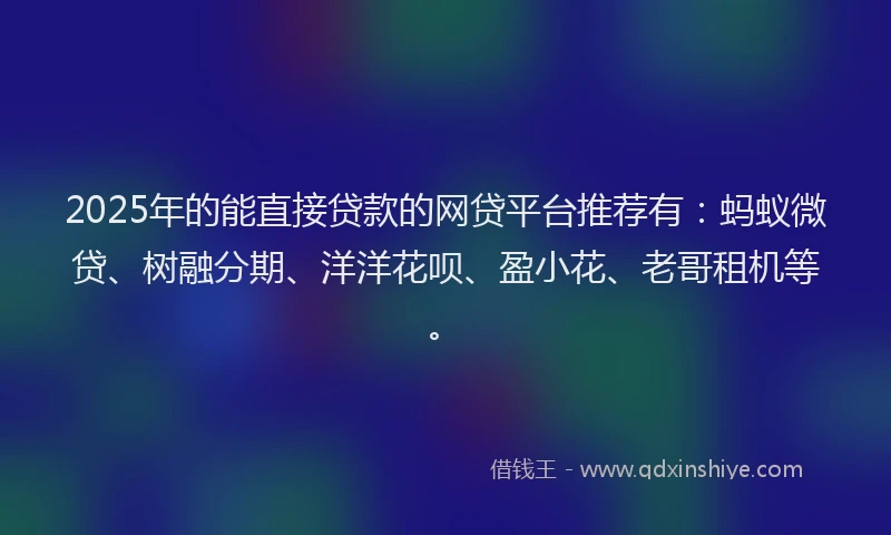 2025年的能直接贷款的网贷平台推荐有：蚂蚁微贷、树融分期、洋洋花呗、盈小花、老哥租机等。