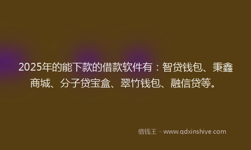 2025年的能下款的借款软件有：智贷钱包、秉鑫商城、分子贷宝盒、翠竹钱包、融信贷等。
