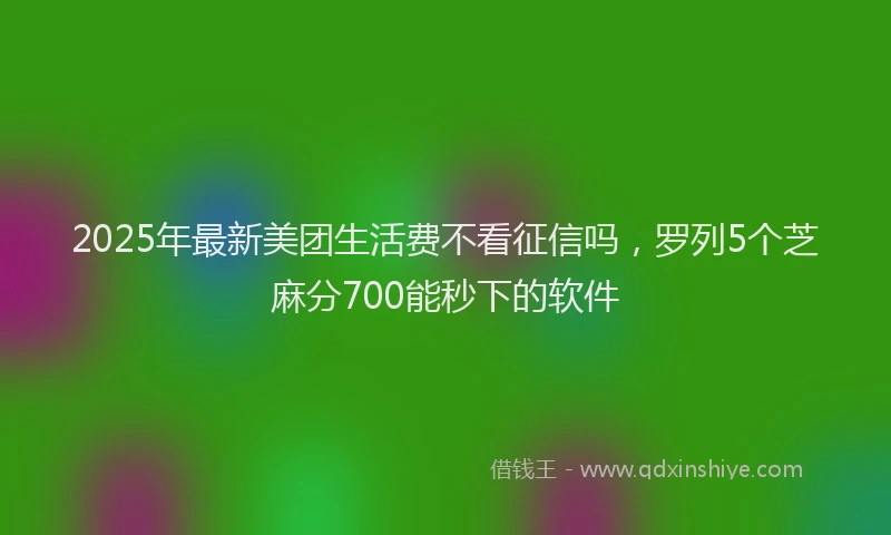 2025年最新美团生活费不看征信吗，罗列5个芝麻分700能秒下的软件